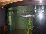 Duluth Aqarium, July 11th