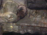 Mvc_002f_001.jpg