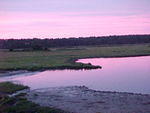 MVC_003F_010.jpg