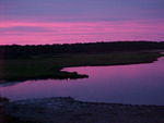 Chincoteague Sky