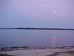 Chincoteague