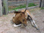 MVC_009F_008.jpg