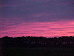 MVC_010F_008.jpg