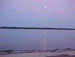 MVC_011F_007.jpg