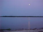 MVC_012F_005.jpg