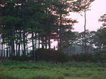 MVC_018F_002.jpg