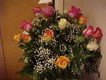 MVC_008F_001.jpg