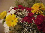 MVC_014F_001.jpg