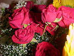 MVC_015F_001.jpg