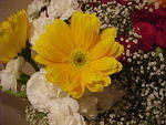 MVC_016F_001.jpg