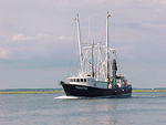 MVC_010F_001.jpg