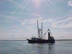 MVC_012F_001.jpg