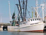 MVC_015F_001.jpg