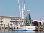 MVC_018F_001.jpg