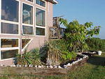 Sptember 1st, the Gardens