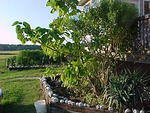 Sptember 1st, the Gardens