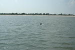 DSC_0124.jpg