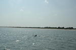 DSC_0125.jpg