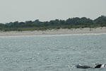 DSC_0129.jpg