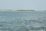 DSC_0132.jpg