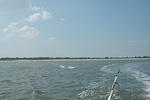 DSC_0134.jpg