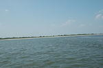 DSC_0135.jpg