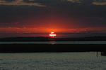 DSC_0156.jpg