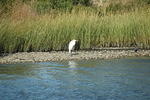 DSC_0173.jpg