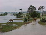 Oct. 14th, 2005