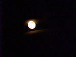 Oct, 19th, 2005