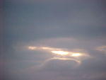 Pony in The Sky