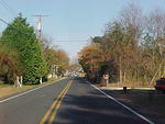 Nov. 19th, 2005 Chincoteague Island