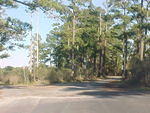 Nov. 19th, 2005 Chincoteague Island