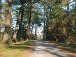 Nov. 19th, 2005 Chincoteague Island