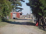 Nov. 19th, 2005 Chincoteague Island