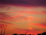 Nov. 19th, 2005 Chincoteague Island