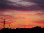 Nov. 19th, 2005 Chincoteague Island