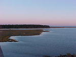 Nov. 11th, 2005 Chincoteague Island
