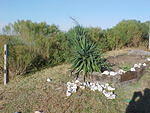 Nov. 19th, 2005 Chincoteague Island