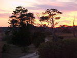 Nov. 19th, 2005 Chincoteague Island