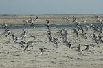 DSC_0672.jpg