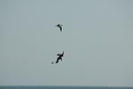 DSC_0676.jpg