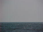 MVC_002F_003.jpg