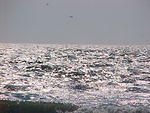 MVC_003F_003.jpg
