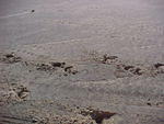 MVC_006F_001.jpg