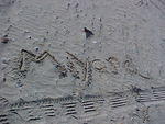 MVC_006F_002.jpg