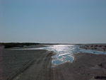 MVC_009F_001.jpg