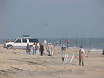 MVC_013F_003.jpg