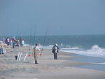 MVC_015F_003.jpg