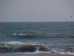 MVC_016F_001.jpg